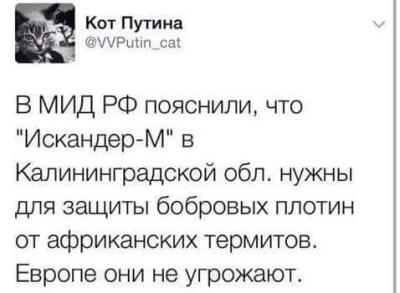 Прикрепленное изображение: 14563317_1026221194157068_2255941445173115819_n.jpg